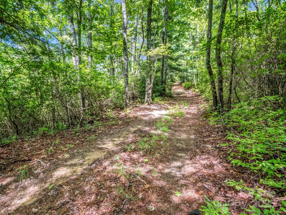TBD Frozen Creek Road Brevard, NC 28712