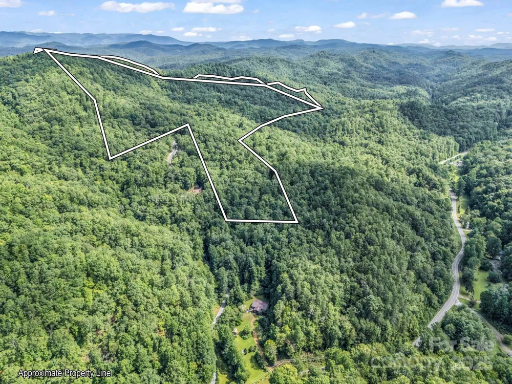 TBD Frozen Creek Road Brevard, NC 28712