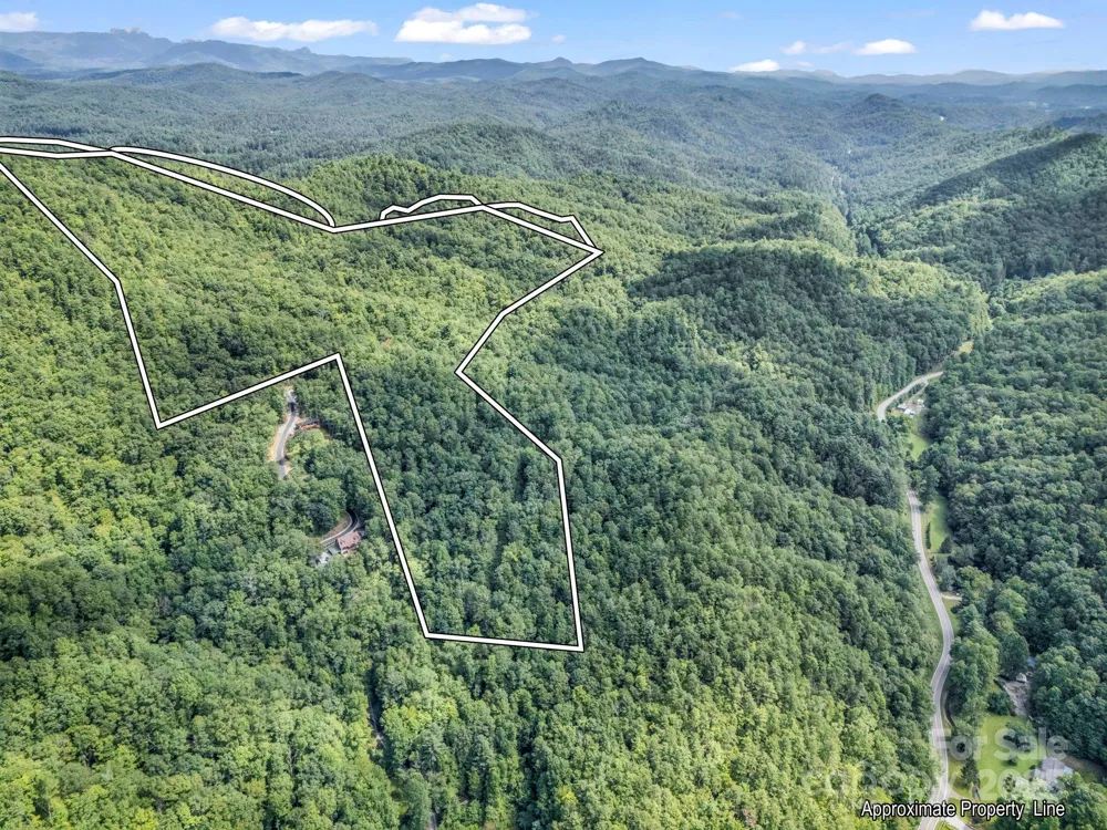 TBD Frozen Creek Road Brevard, NC 28712