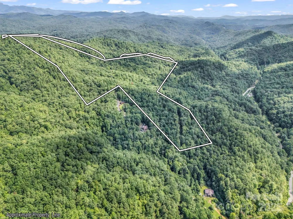 TBD Frozen Creek Road Brevard, NC 28712