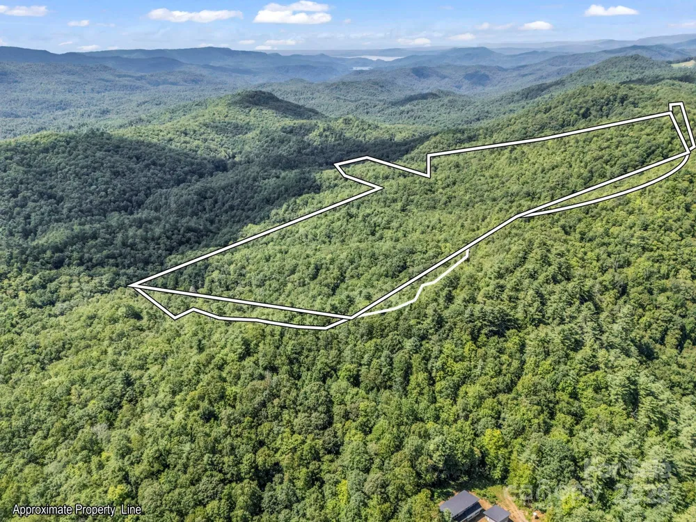 TBD Frozen Creek Road Brevard, NC 28712