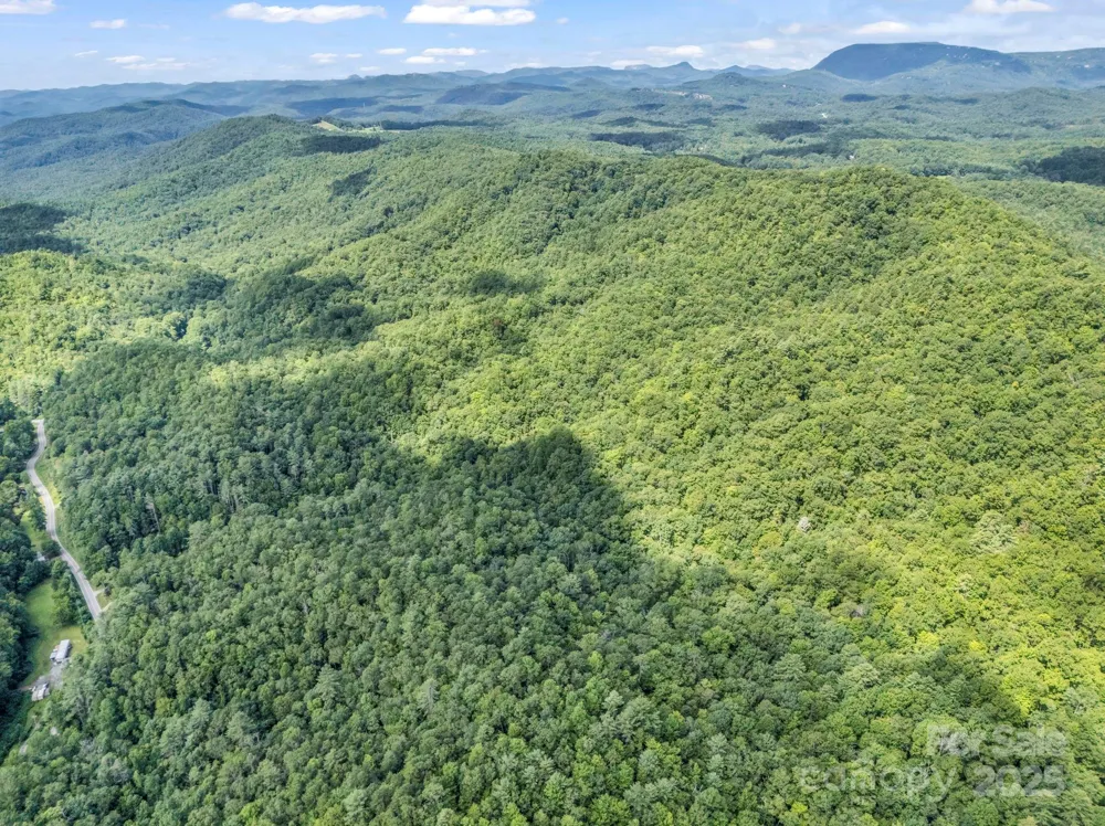 TBD Frozen Creek Road Brevard, NC 28712