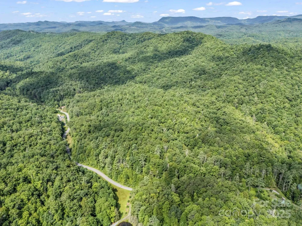 TBD Frozen Creek Road Brevard, NC 28712