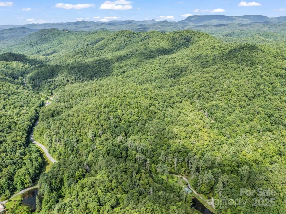 TBD Frozen Creek Road Brevard, NC 28712