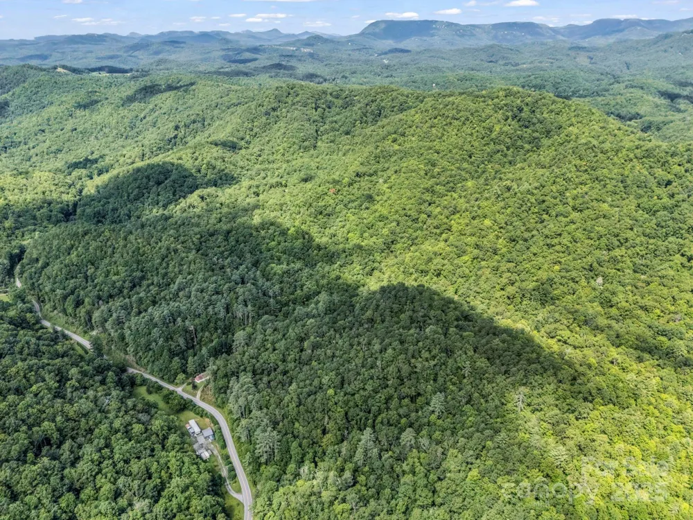 TBD Frozen Creek Road Brevard, NC 28712