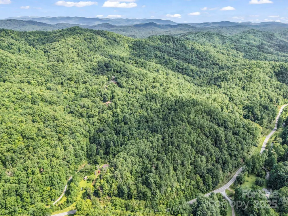 TBD Frozen Creek Road Brevard, NC 28712