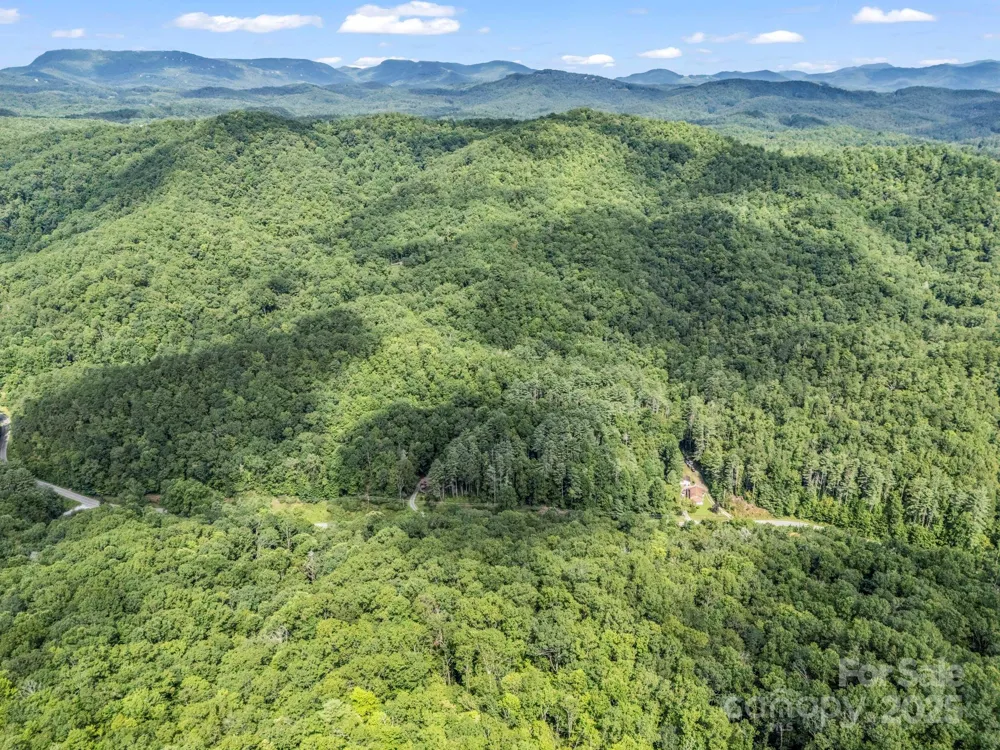 TBD Frozen Creek Road Brevard, NC 28712