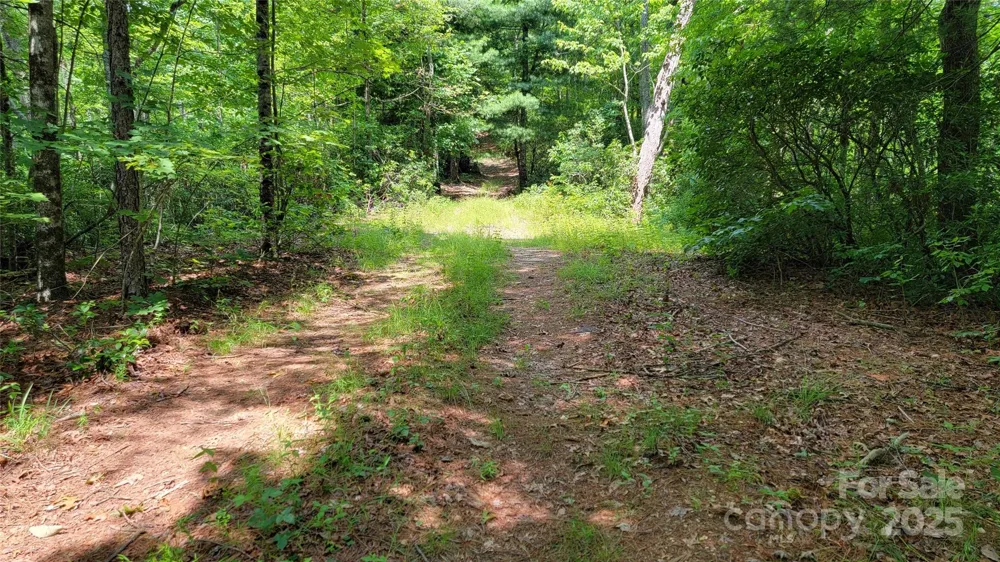 TBD Frozen Creek Road Brevard, NC 28712