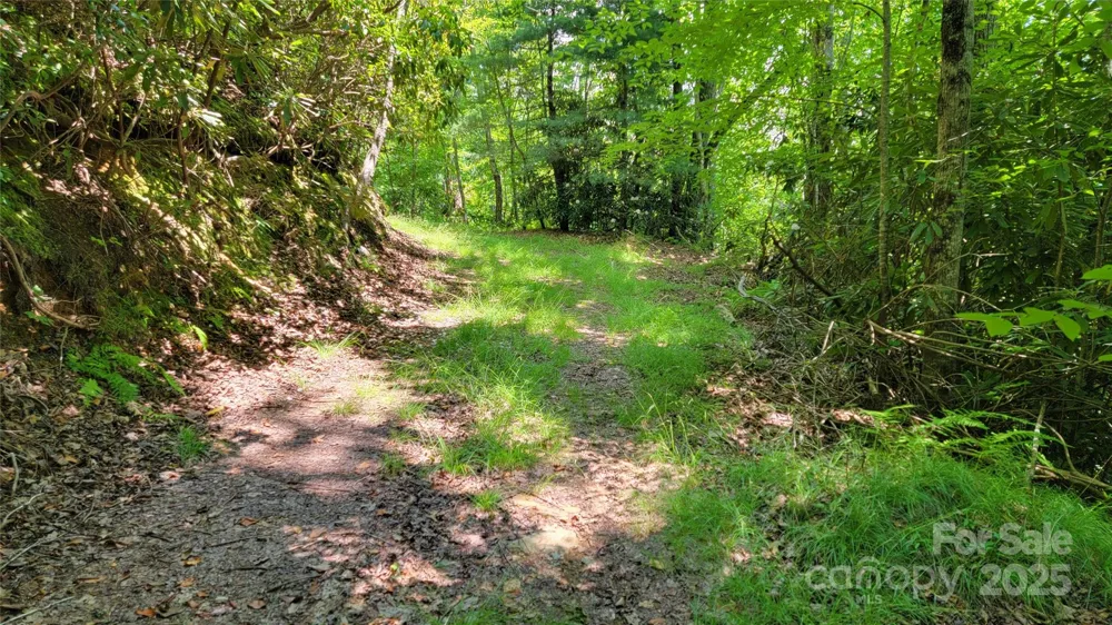 TBD Frozen Creek Road Brevard, NC 28712