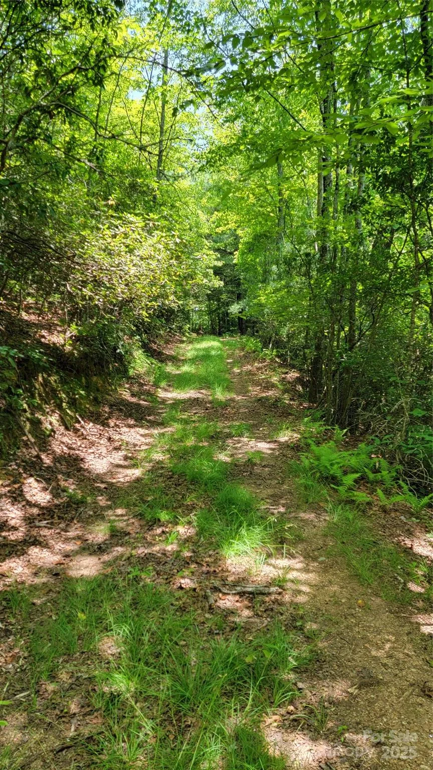 TBD Frozen Creek Road Brevard, NC 28712