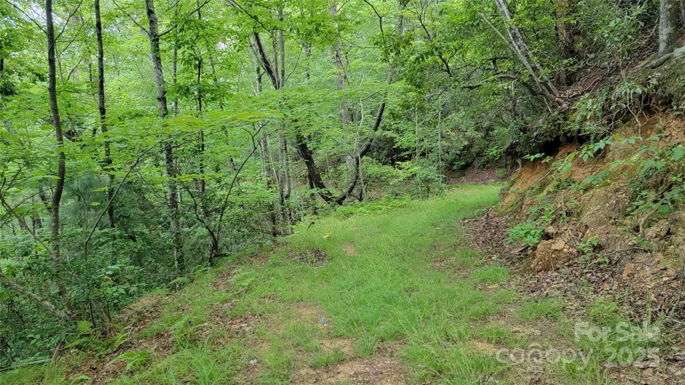 TBD Frozen Creek Road Brevard, NC 28712
