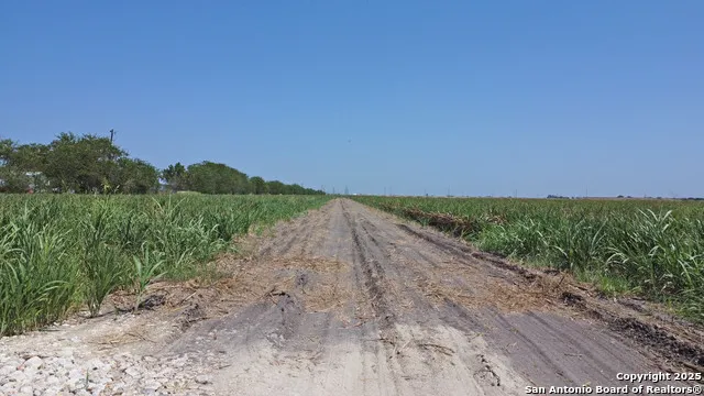 0 Cordova Seguin, TX 78155