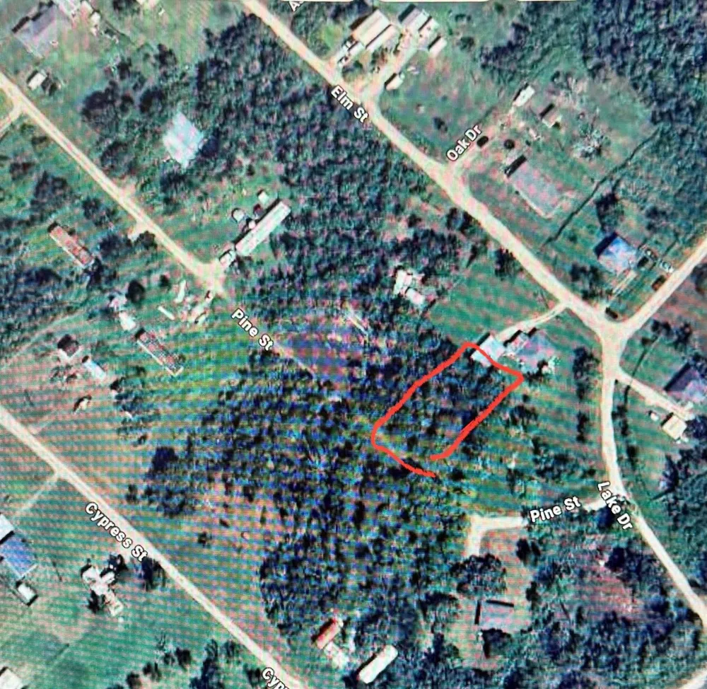 Pine Brazoria, TX 77422
