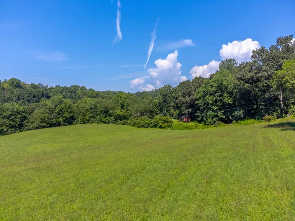 Bidwell Rd Whittier, NC 28789
