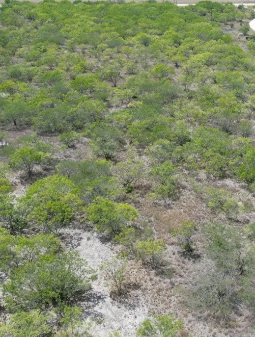 FM 2049 Three Rivers, TX 78071