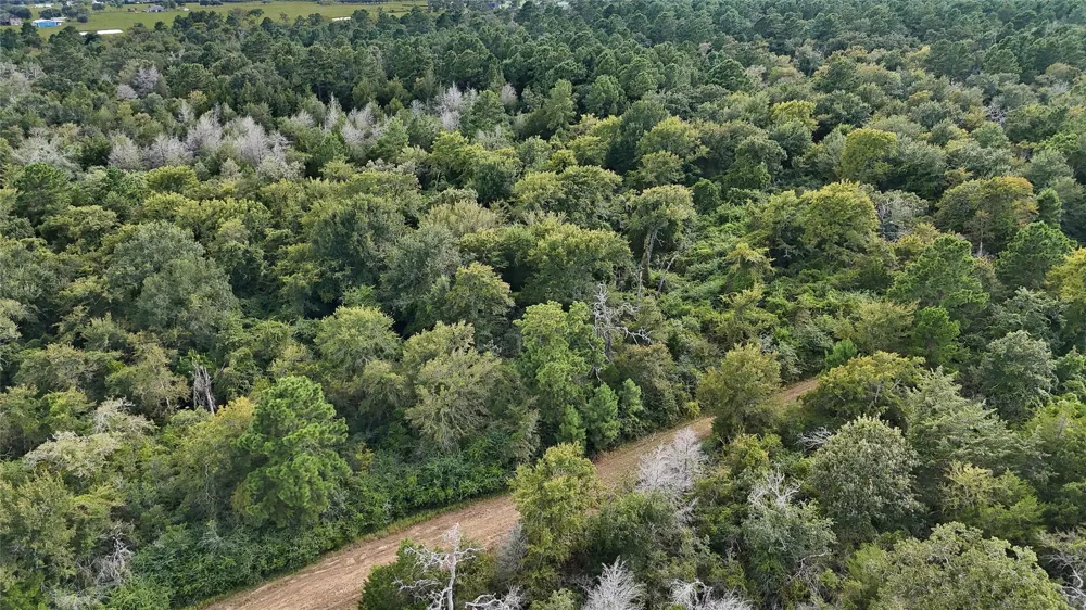 29028 Sandpiper Lane Prairie View, TX 77445