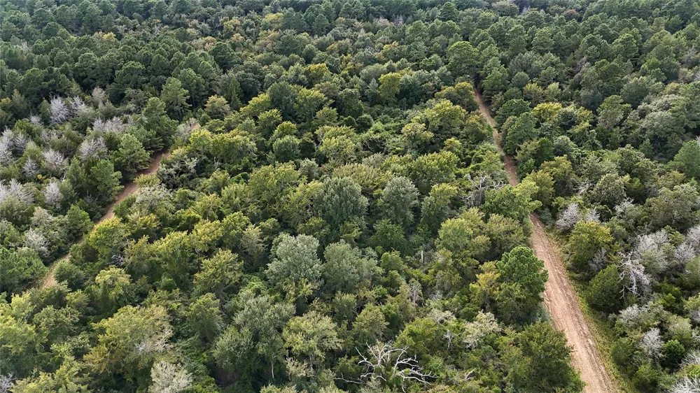 29028 Sandpiper Lane Prairie View, TX 77445