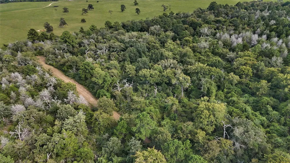 29028 Sandpiper Lane Prairie View, TX 77445