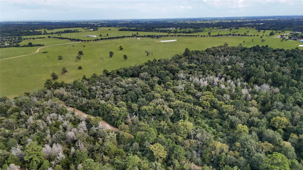 29028 Sandpiper Lane Prairie View, TX 77445