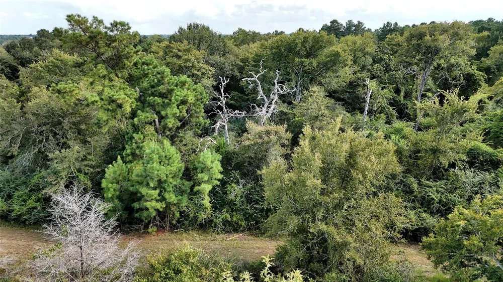 29028 Sandpiper Lane Prairie View, TX 77445
