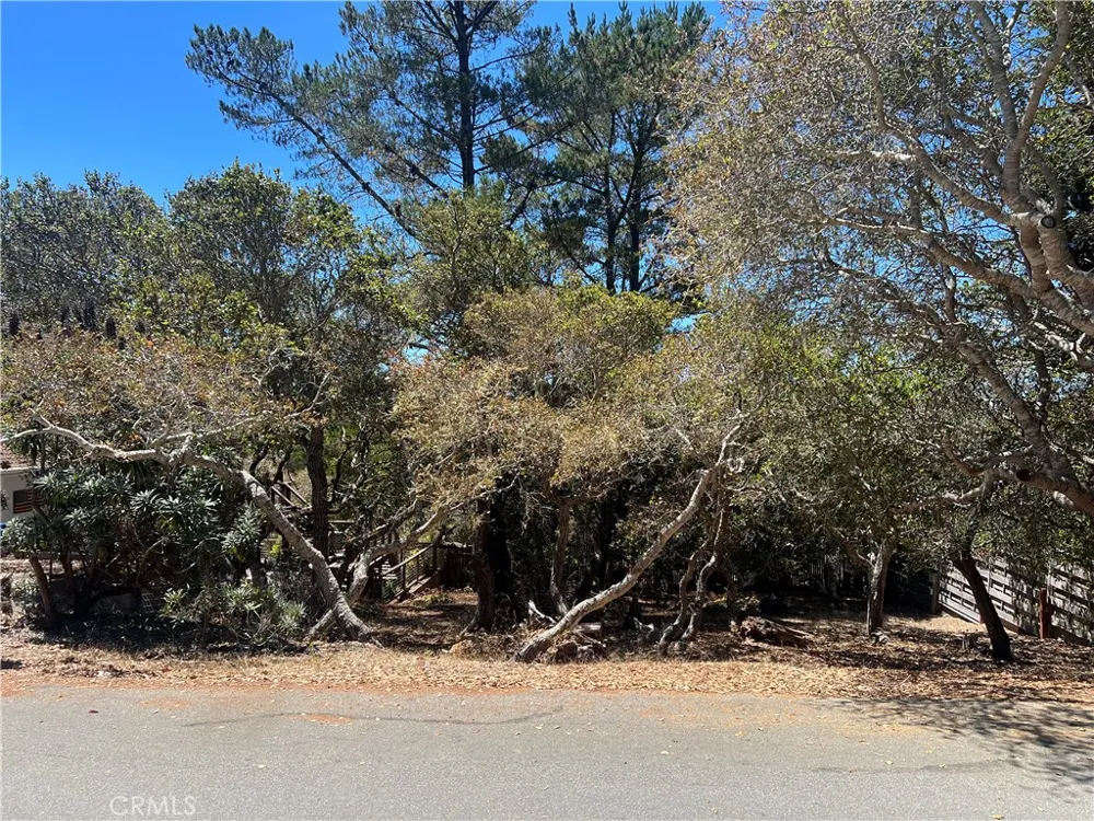 1845 Norwich Avenue Cambria, CA 93428