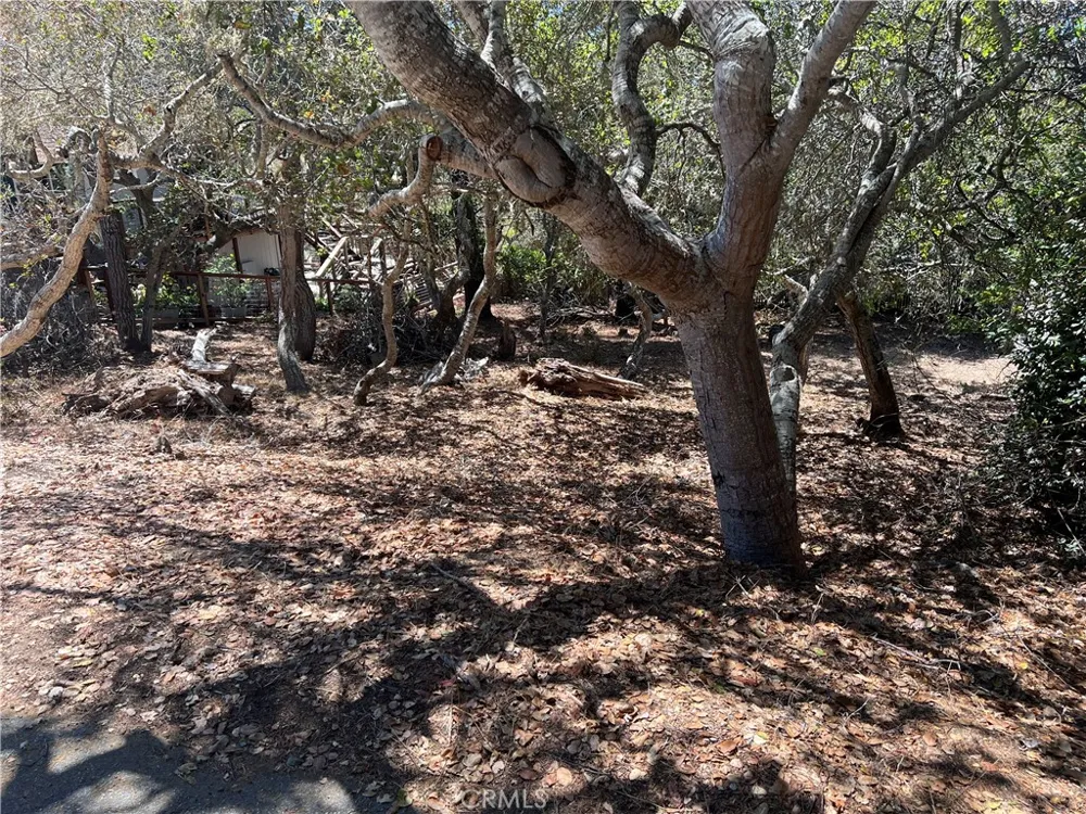 1845 Norwich Avenue Cambria, CA 93428