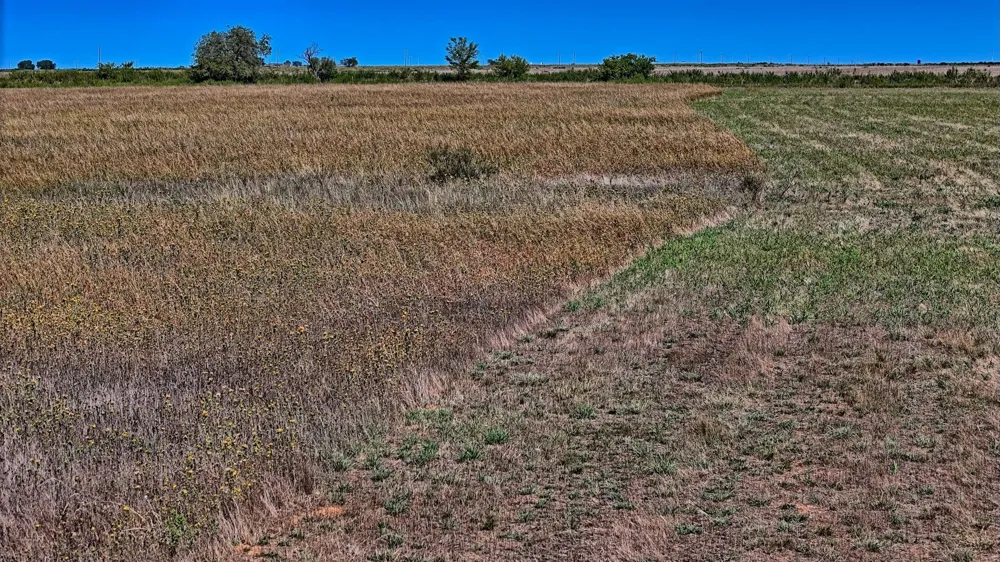 Dunn Road Olney, TX 76374