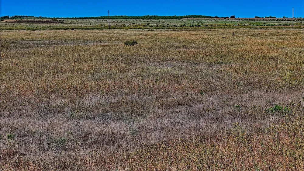 Dunn Road Olney, TX 76374