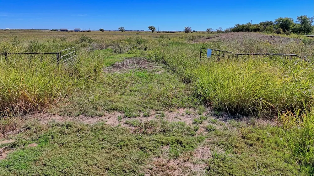 Dunn Road Olney, TX 76374