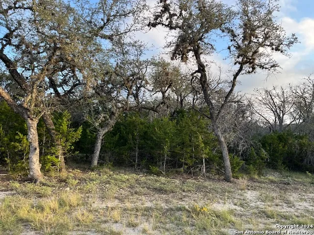 000 Leinweber Dr. Leakey, TX 78873