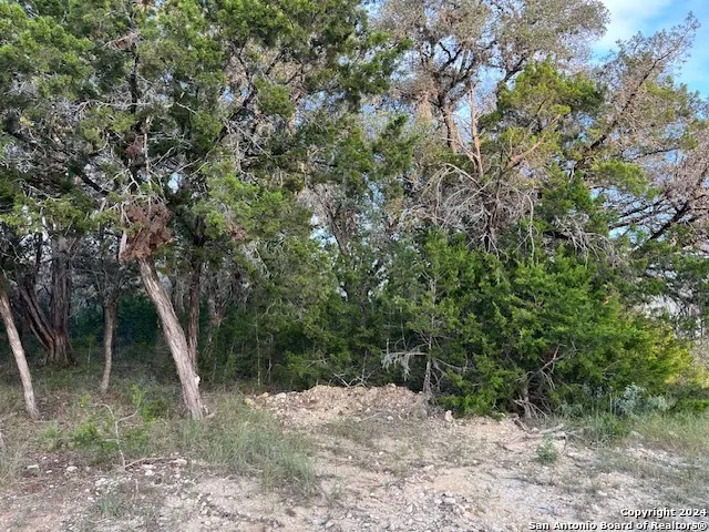 000 Leinweber Dr. Leakey, TX 78873