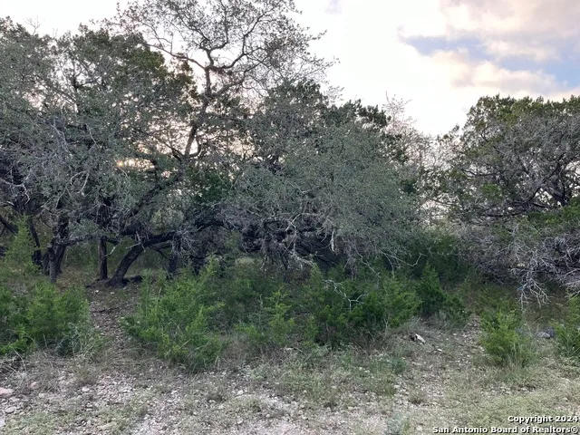 000 Leinweber Dr. Leakey, TX 78873