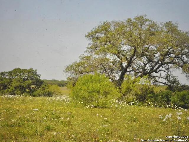 TBD CR 2615 Devine, TX 78016