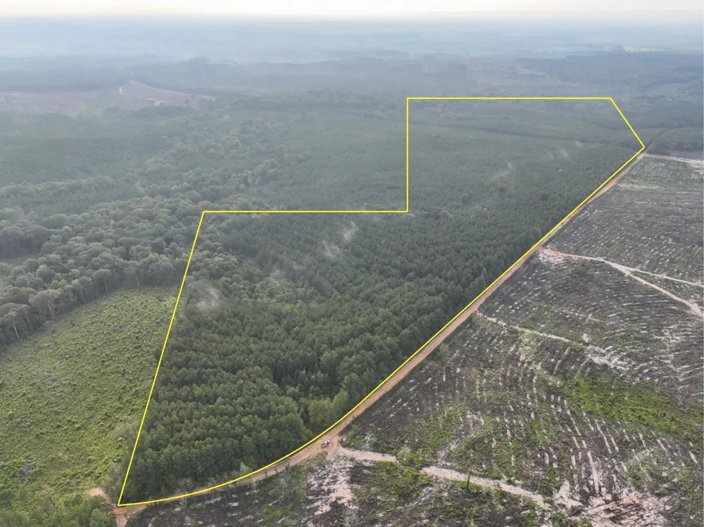 2 Red Rock Road Robeline, LA 71469