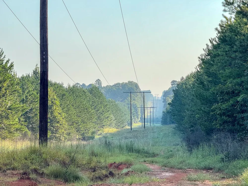 2 Red Rock Road Robeline, LA 71469