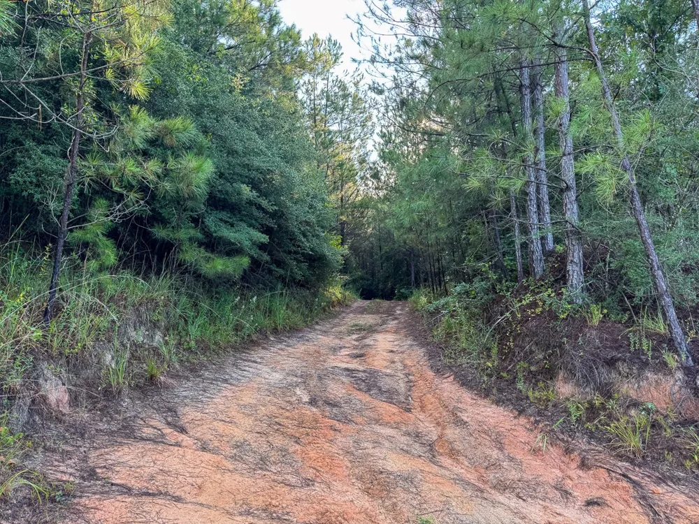 2 Red Rock Road Robeline, LA 71469