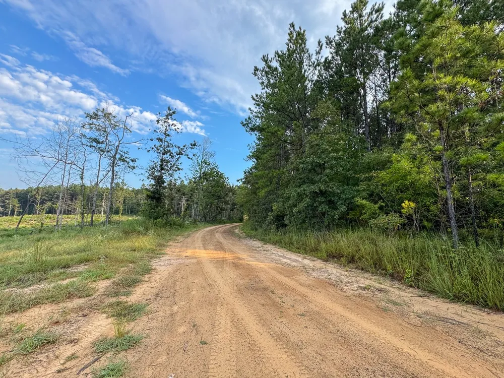 1 Red Rock Road Robeline, LA 71469