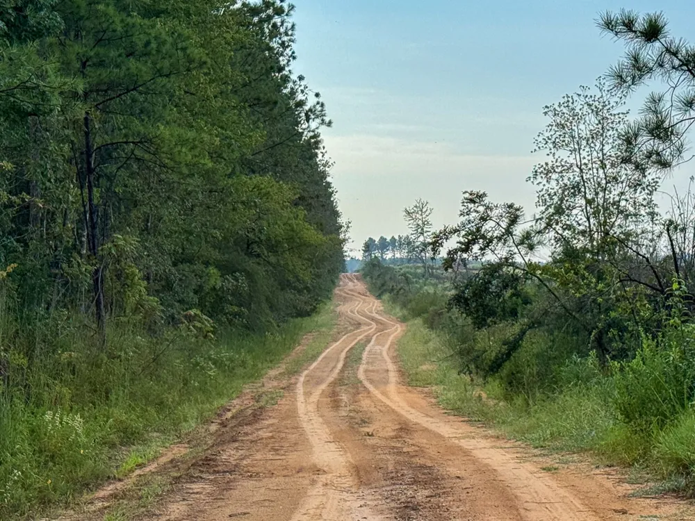 1 Red Rock Road Robeline, LA 71469