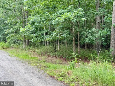 0 PINEWOOD