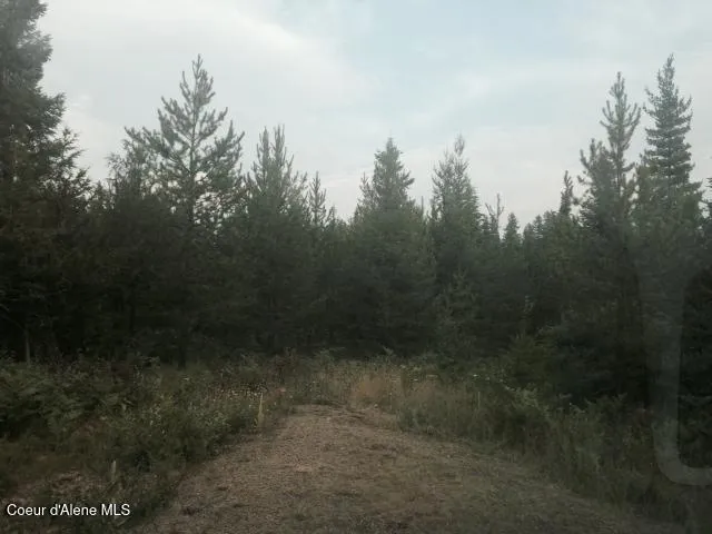 7135 Eastriver Priest River, ID 83856