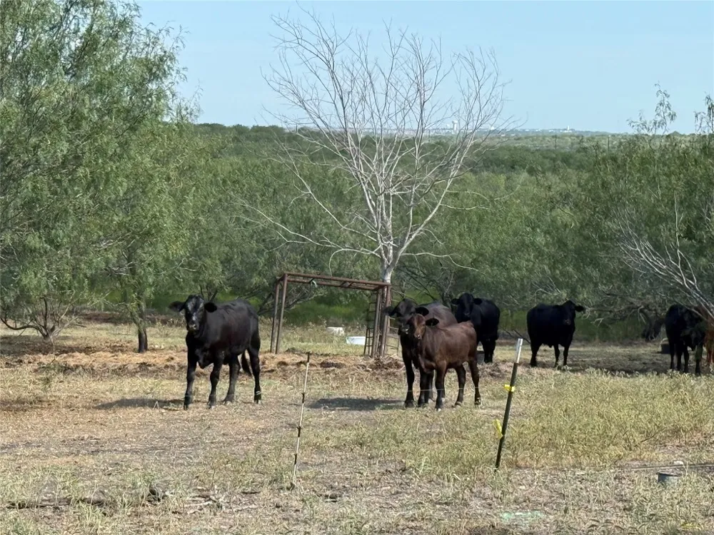 120 Camino Real Highway Kyle, TX 78640
