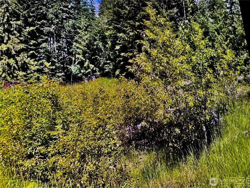 2721 158th Avenue SW Lakebay, WA 98340
