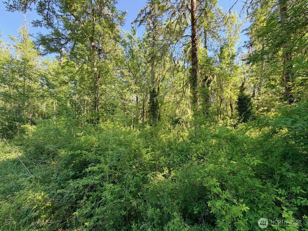 2721 158th Avenue SW Lakebay, WA 98340