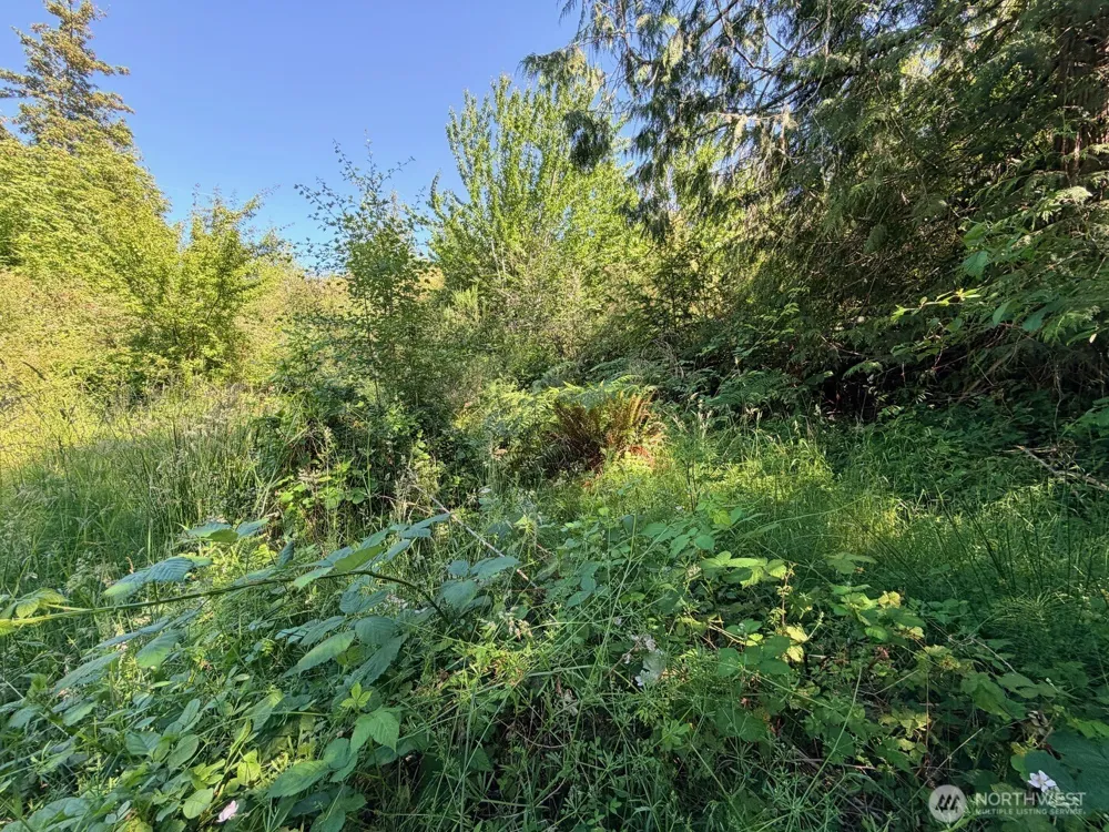 2721 158th Avenue SW Lakebay, WA 98340