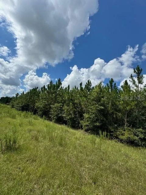 SW COLES COURT Fort White, FL 32038
