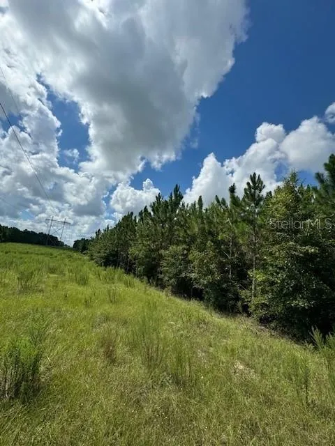 SW COLES COURT Fort White, FL 32038
