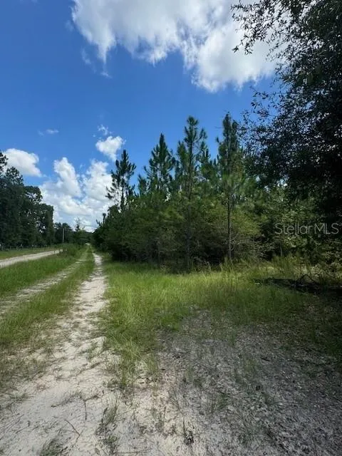 SW COLES COURT Fort White, FL 32038