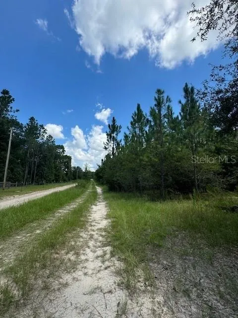 SW COLES COURT Fort White, FL 32038