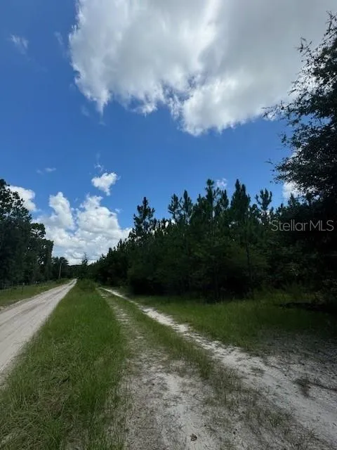 SW COLES COURT Fort White, FL 32038