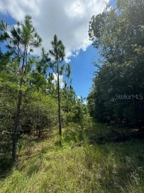 SW COLES COURT Fort White, FL 32038